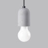 Elegant pendant light NESO 1 in loft decor
