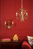 Phaedra 3 Light Pendant Gold life style picture