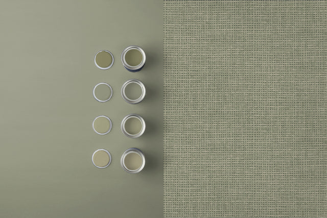 Graham & Brown Viridis Paint