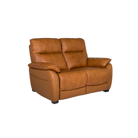 Stylish and Cozy 2 Seater Sofa in Tan - Serenza Leather