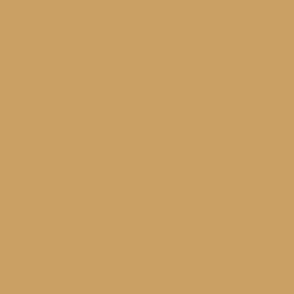 Graham & Brown Turmeric Paint picture of the paint color shade