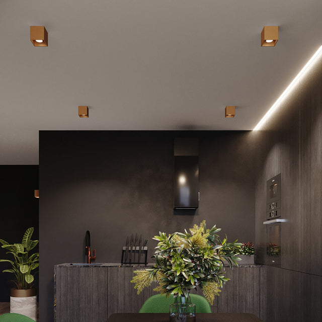 Sollux Lighting Wall Lamp QUAD 1 Gold