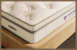 mattress with foam encasement

