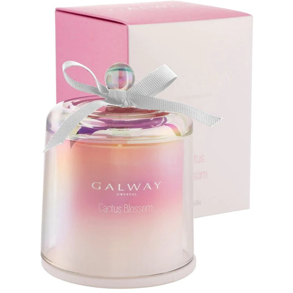 Illuminate your space with the Galway Crystal Cactus Blossom Bell Jar Candle. A captivating blend of glass artistry and fragrant ambiance.