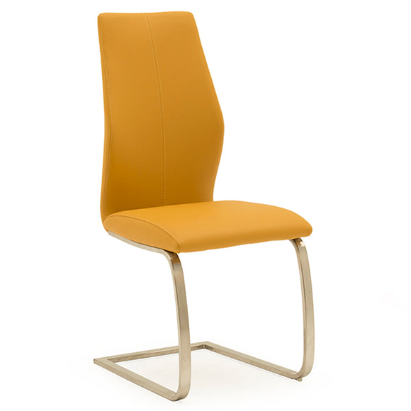 Pumpkin Irma Dining Chair - Modern and Comfortable Dining Chair for Kitchen and Dining Room