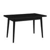 Lotti Rectangular Dining Table Black