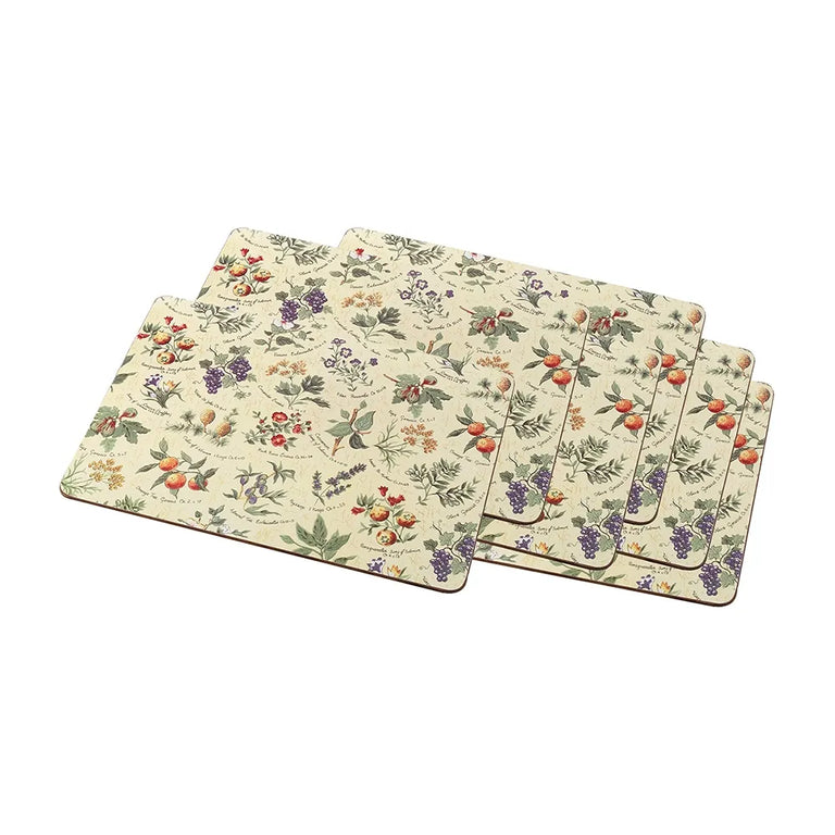 Inspirations Cork Backed Placemats Set Of 6