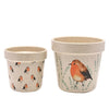Enhance your garden or patio with the Country Living Set of 2 Planters in a charming robin design. These planters bring a touch of nature to your outdoor space, providing a perfect home for your favorite plants or flowers.