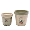 Elevate your outdoor space with the Country Living Set of 2 Planters featuring charming bee designs. These planters add a touch of whimsy to your garden or patio while providing a perfect home for your plants or flowers.