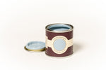 Farrow & Ball Kittiwake No.307 — sample pot