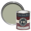Farrow & Ball Vert de Terre No.234 — 750ml tin and swatch