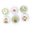 6 Beautiful designs to choose from.