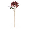 55cm Stem