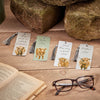 4 beautiful designs to choose from