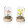 Floral Serenade Glass Dome Centrepiece with LED Rosebuds, Decorative Tabletop Ornaments