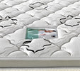 Modern Foam Encased Euro Top Bed