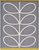 Enhance your outdoor ambiance with Orla Kiely Outdoor Rug – shop online now!