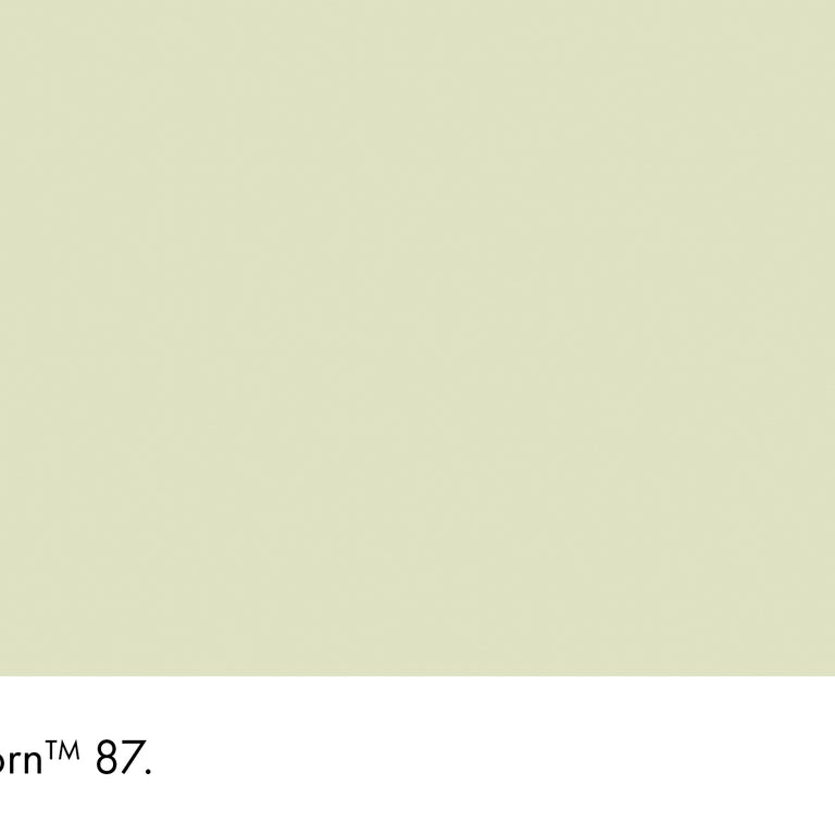Little Greene Paint Acorn No.87