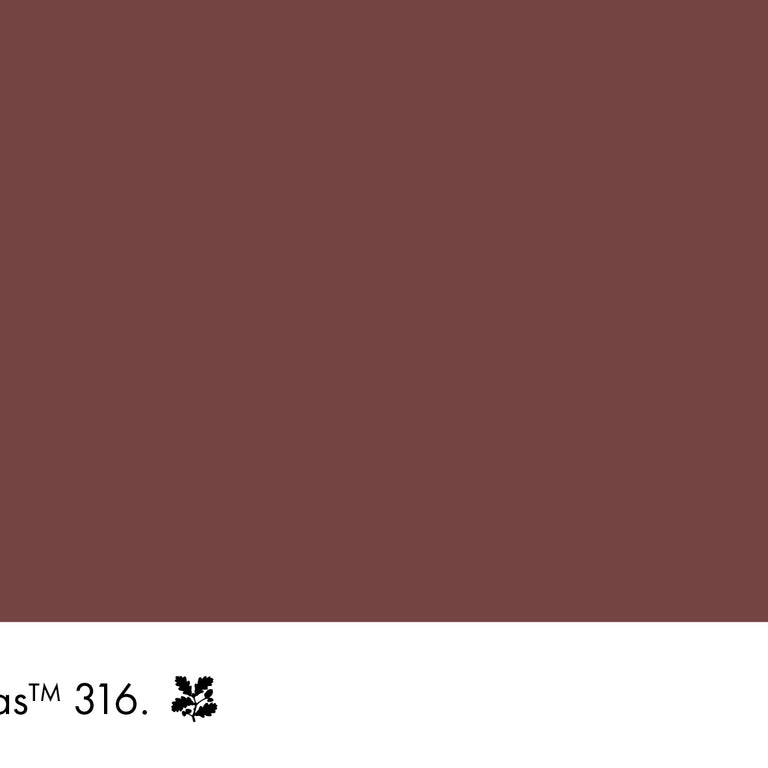 Little Greene Paint Arras No.316