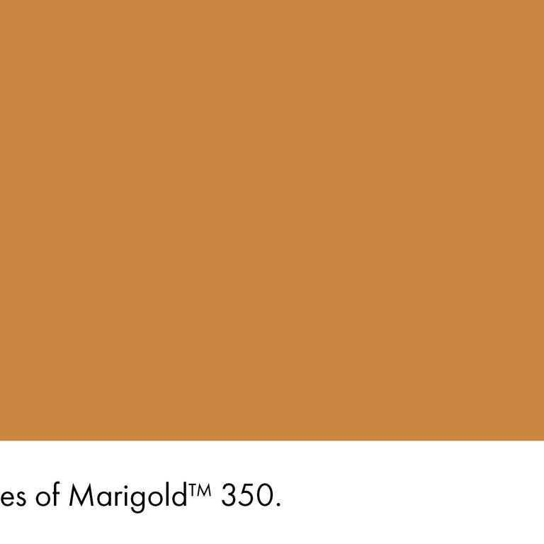 Little Greene Paint Ashes of Marigold No.350
