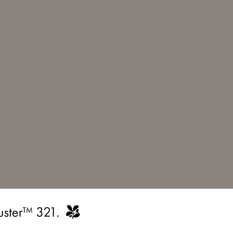 Little Greene Paint Baluster No.321