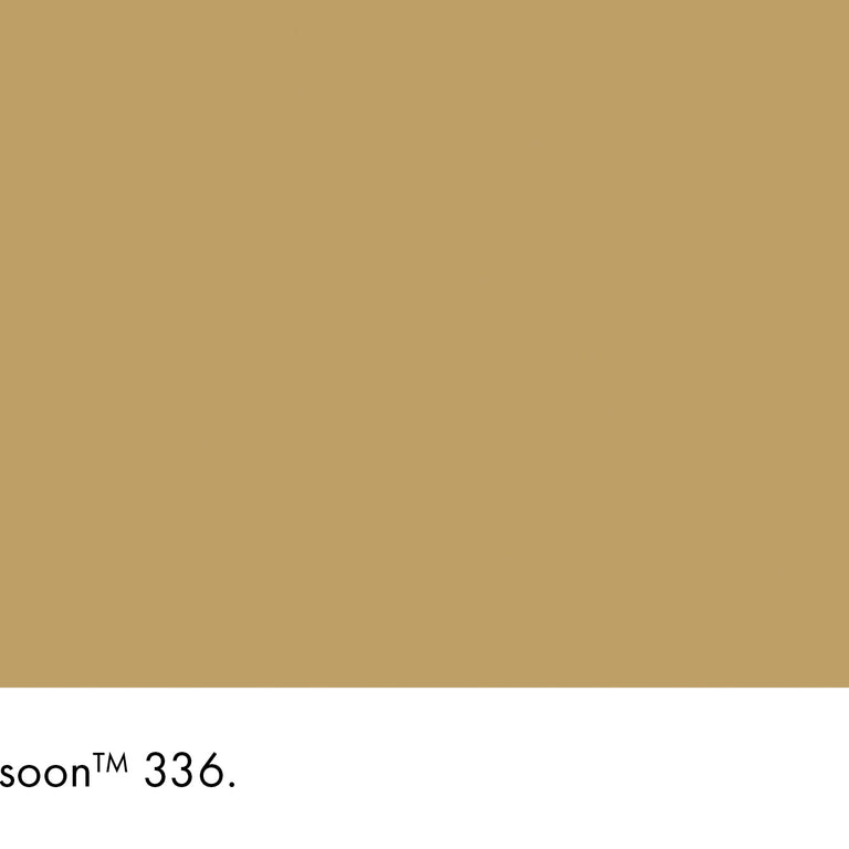 Little Greene Paint Bassoon No.336