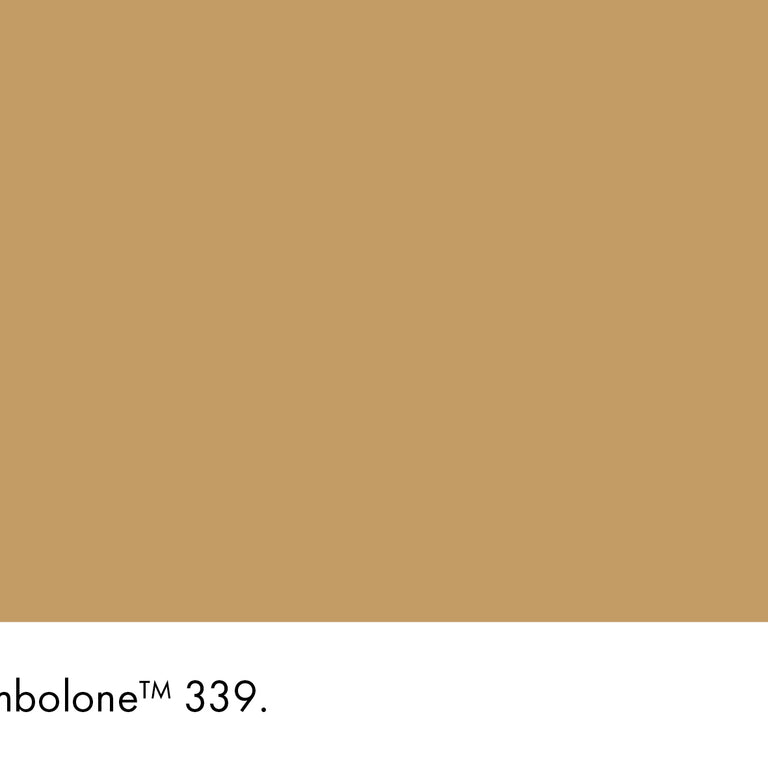 Little Greene Paint Bombolone No.339