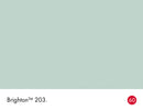 Brighton No.203 colour swatch with name