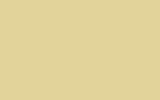 Chamois No.132 flat colour swatch, hex #E2D39A