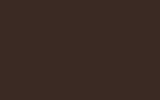 Chimney Brick No.247 flat colour swatch, hex #3A2A23