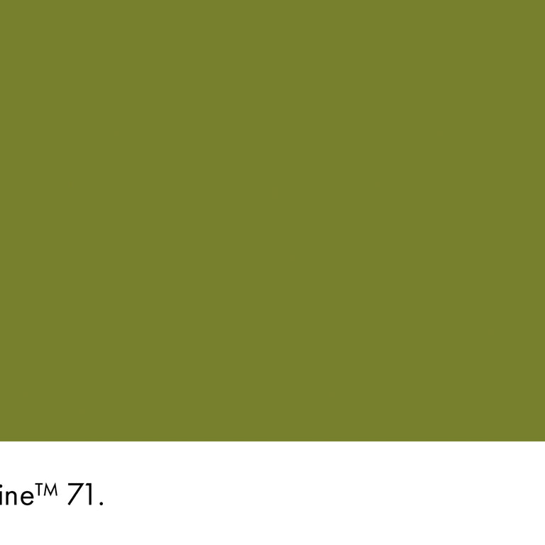 Little Greene Paint Citrine No.71