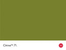 Citrine No.71 colour swatch with name