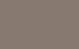 Dolphin No.246 flat colour swatch, hex #877970
