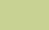 Eau de Nil No.90 flat colour swatch, hex #C8D295