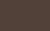 Felt No.145 flat colour swatch, hex #524138