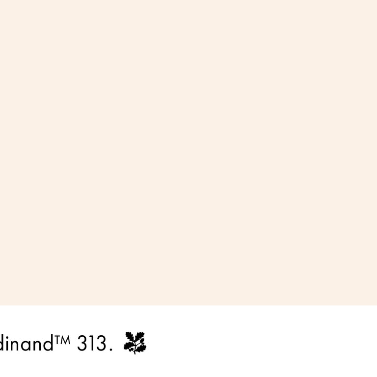 Little Greene Paint Ferdinand No.313