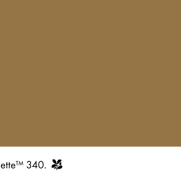 Little Greene Paint Galette No.340