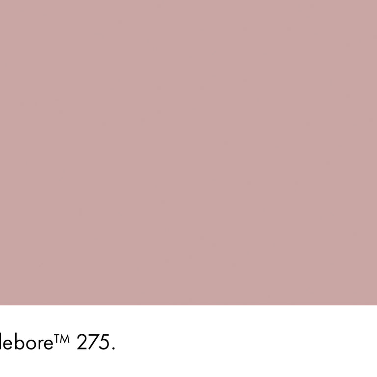 Little Greene Paint Hellebore No.275