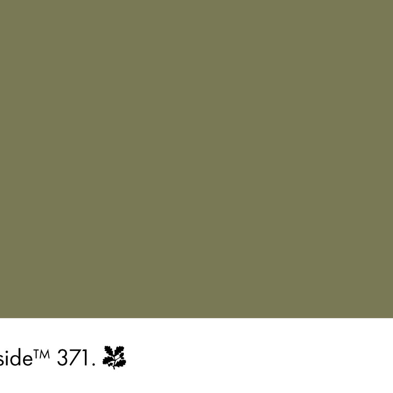 Little Greene Paint Hillside No.371