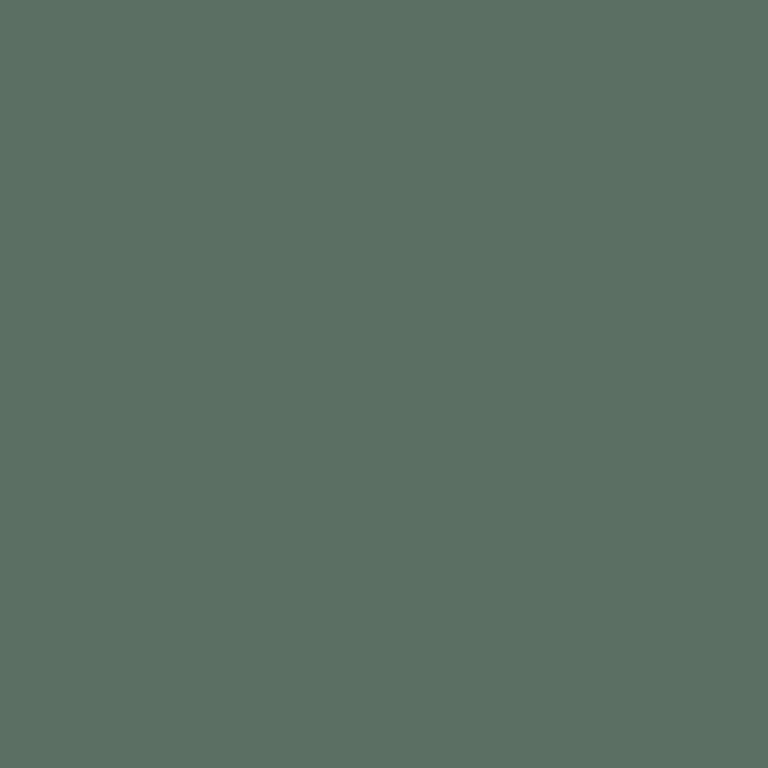 Little Greene Paint Ho Ho Green No.305
