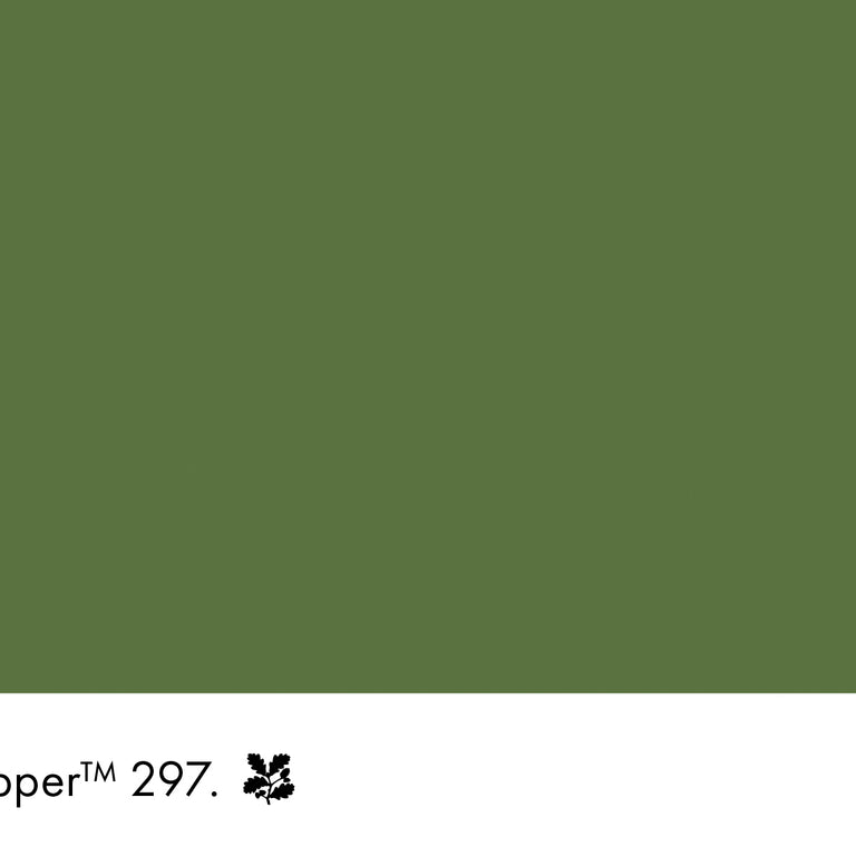 Little Greene Paint Hopper No.297