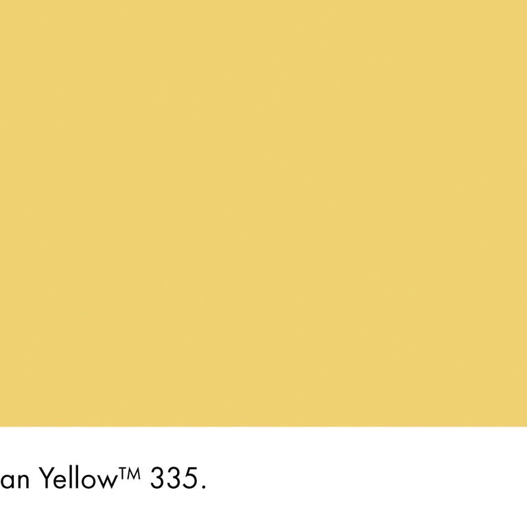 Little Greene Paint Indian Yellow No.335