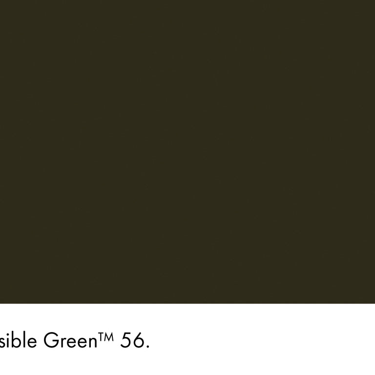 Little Greene Paint Invisible Green No.56