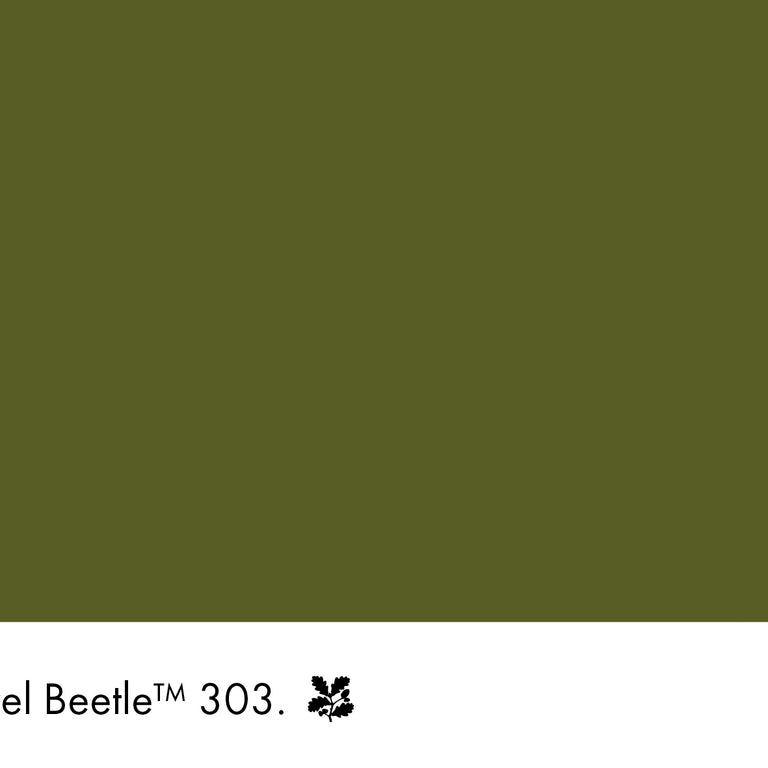 Little Greene Paint Jewel Beetle No.303