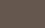 Knightsbridge No.215 flat colour swatch, hex #65564E