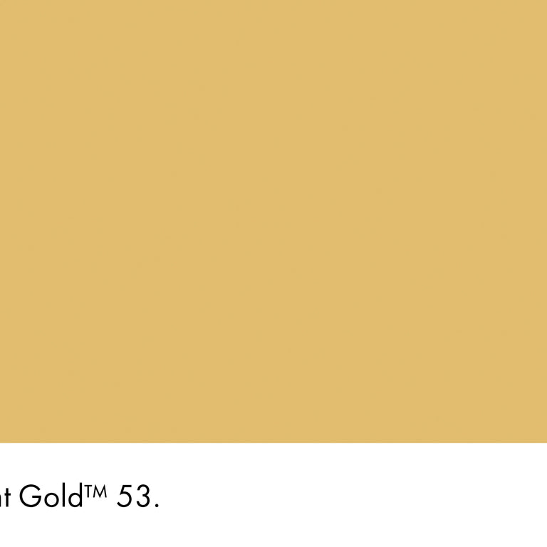 Little Greene Paint Light Gold No.53