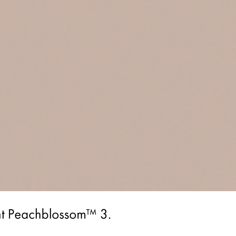 Little Greene Paint Light Peachblossom No.3