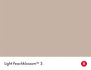 Light Peachblossom No.3 colour swatch with name