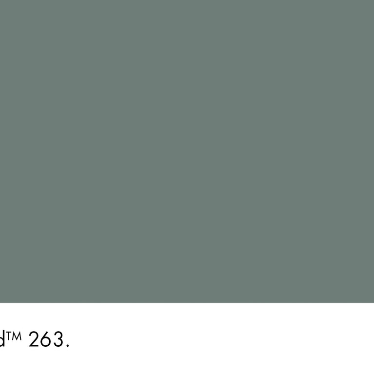 Little Greene Paint Livid No.263