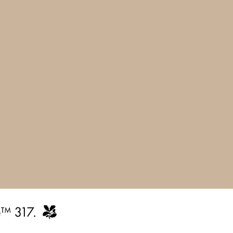 Little Greene Paint Lute No.317